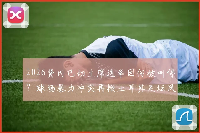 2026费内巴切主席选举因何被叫停？球场暴力冲突再掀土耳其足坛风波