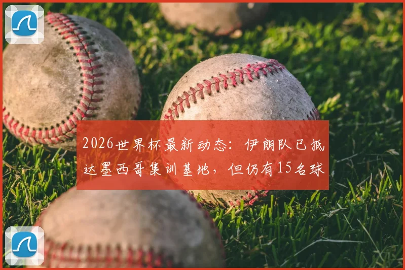 2026世界杯最新动态：伊朗队已抵达墨西哥集训基地，但仍有15名球员未获美国入境许可，备战计划恐受影响
